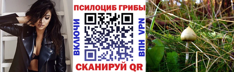 Псилоцибиновые грибы ЛСД  Купить закладки  Камбарка 
